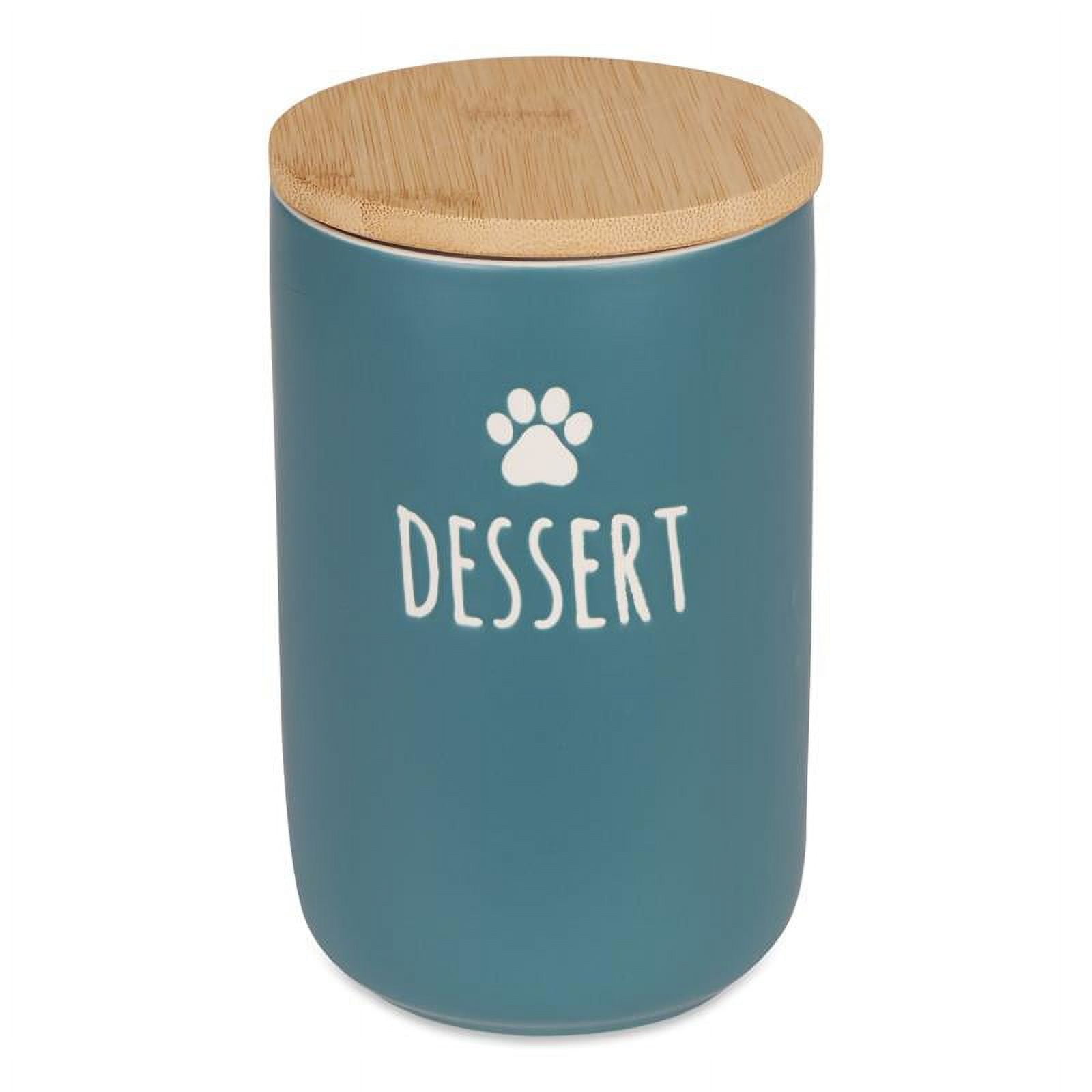 Picture of Design Imports CAMZ14442 Ceramic Treat Canister&#44; Dessert Teal