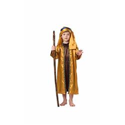 Boys Shepherd Robe Costume with Coat Headpiece & Crook, Brown - Large