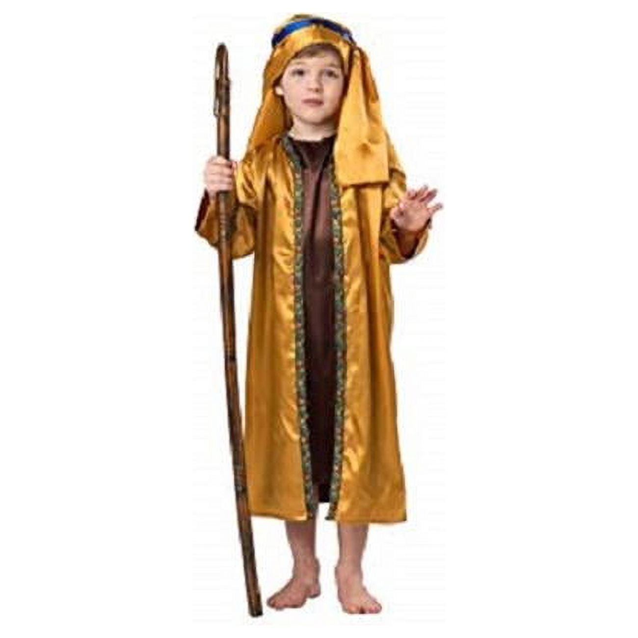 Picture of Dress Up America 1072-S Shepherd Costume with Robe Coat Headpiece & Crook&#44; Brown -Small