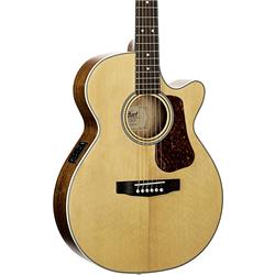 Cort Guitars L100FNS-A-U