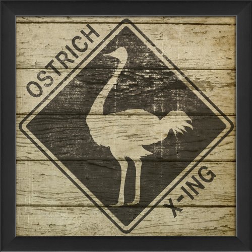 Artwork Factory 18508 EB Ostrich Xing Framed Print