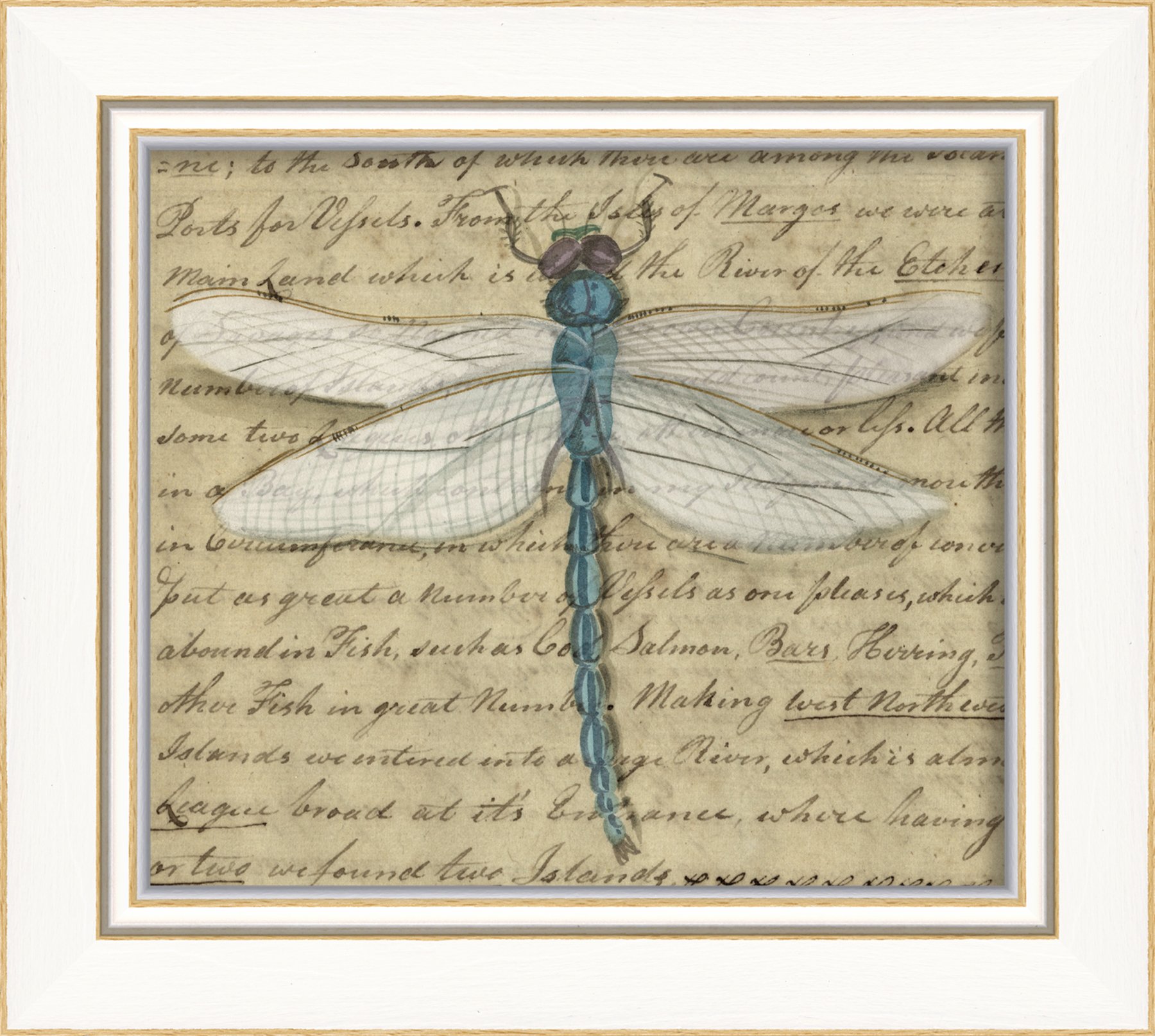 Artwork Factory 86493 KI Blue Dragonfly Framed Print