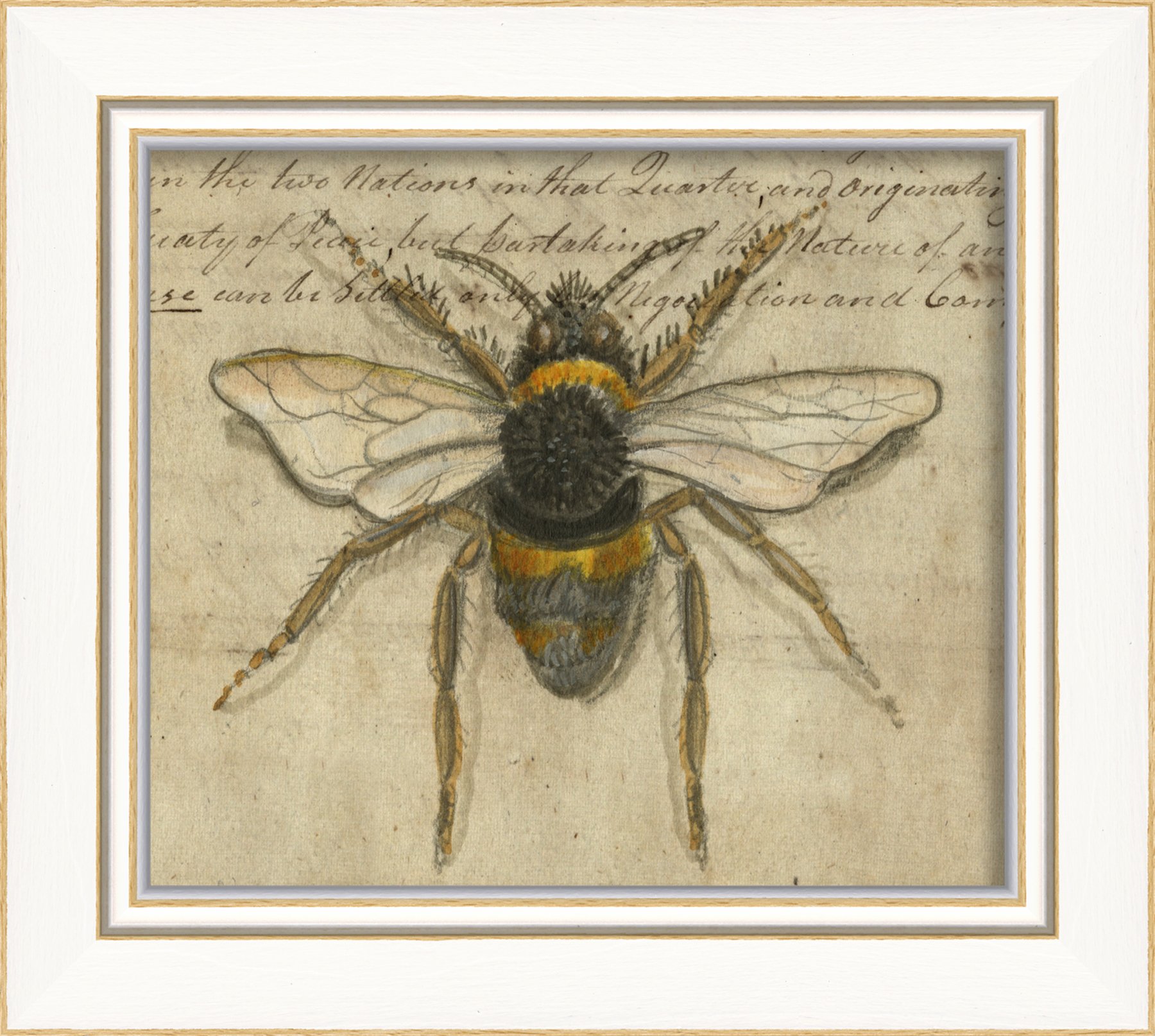 Artwork Factory 86494 KI BumbleBee Framed Print