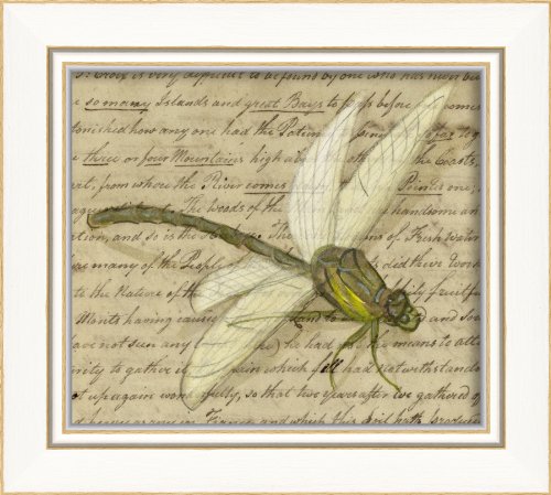 Artwork Factory 86495 KI Green Dragonfly Framed Print