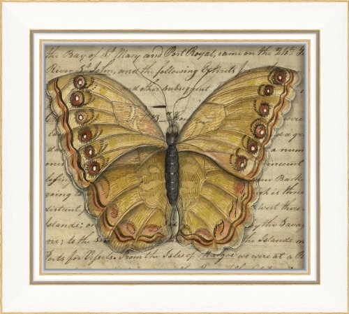 Artwork Factory 86496 KI Yellow Butterfly Framed Print