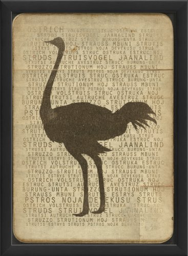 Artwork Factory 17765 EB Ostrich Silhouette Framed Print
