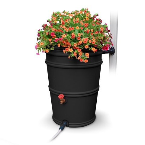 45 Gallon RainStation Rain Barrel - Recycled Charcoal