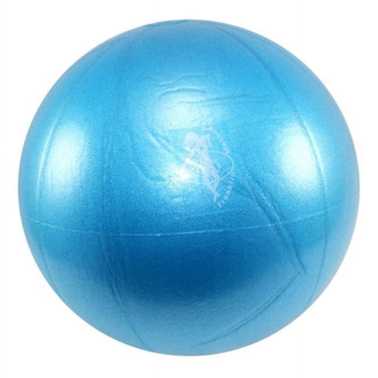 Franklin Air Ball Blue