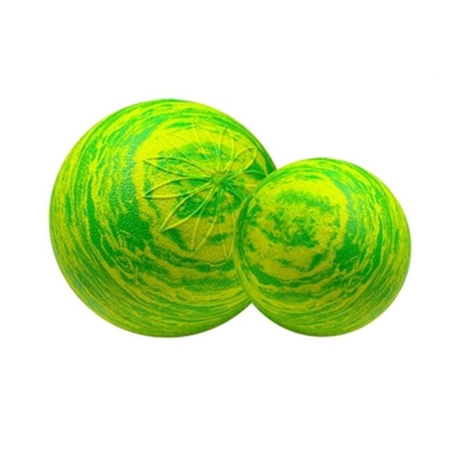 8 in. Posture Ball
