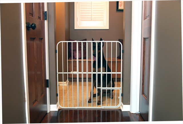 Picture of Carlson 0632DS Extra Tall Expandable Metal Pet Gate- Beige
