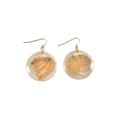 Alexa Starr 4274-E Goldtone Gold Fleck Lucite Disc Drop Earrings Alexa Starr 4274-E Goldtone Gold Fleck Lucite Disc Drop Earrings