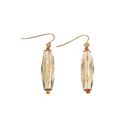 Alexa Starr 4299-E Goldtone Clear Linear Lucite Drop Earrings Alexa Starr 4299-E Goldtone Clear Linear Lucite Drop Earrings
