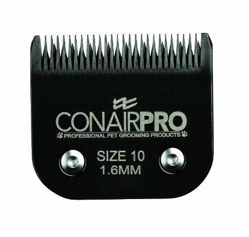 741041 10 Steel Replacement Blade