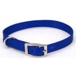 Picture of Coastal Pet Products 764031 5-8X12 Nylon Collar Blue