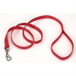 Picture of Coastal Pet Products 764085 5-8X6 Nylon Tr Lead Red