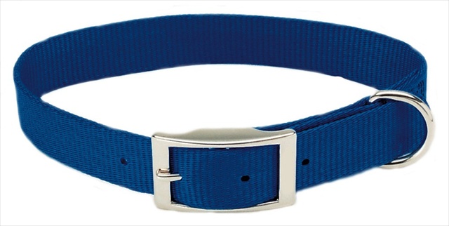 Picture of Coastal Pet Products 764091 3-4X16 Nylon Collar Blue