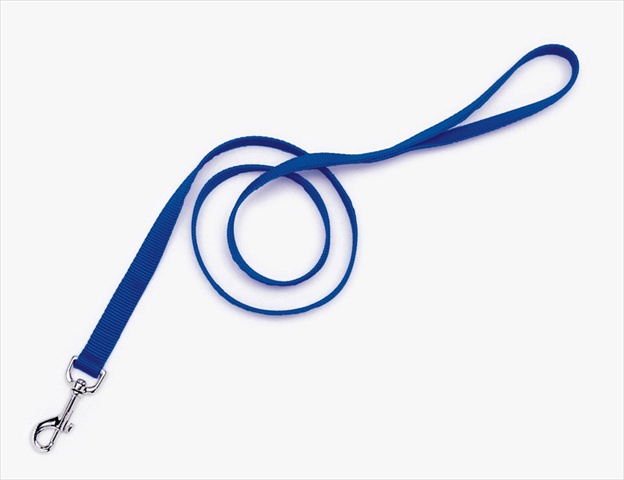 Picture of Coastal Pet Products 764171 1X4 Nylon Lead Blue