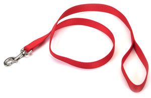 Picture of Coastal Pet Products 764185 1X6 Nylon Tr Lead Red