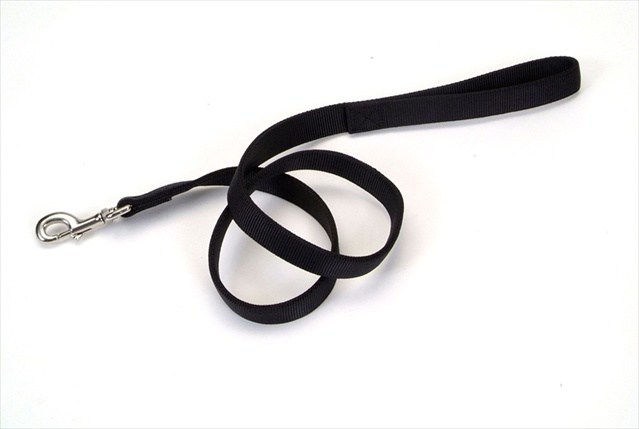 Picture of Coastal Pet Products 764600 1X4 Double Ply Nylon Lead Black
