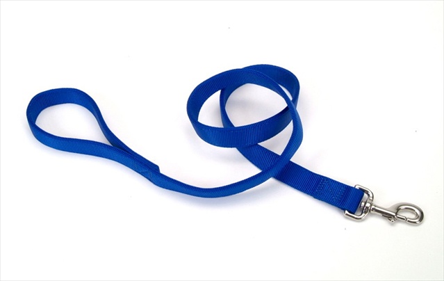 Picture of Coastal Pet Products 764601 1X4 Double Ply Nylon Lead Blue