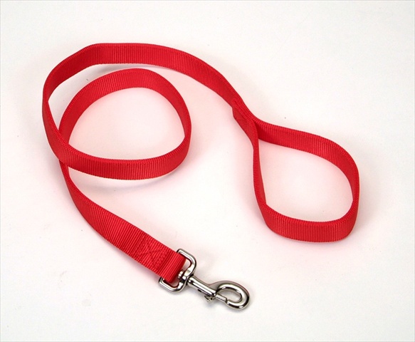 Picture of Coastal Pet Products 764625 1X6 Double Ply Nyln Tr Lead Red