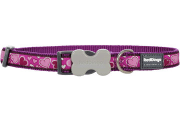Picture of Red Dingo DC-BZ-PU-SM Dog Collar Design Breezy Love Purple- Small