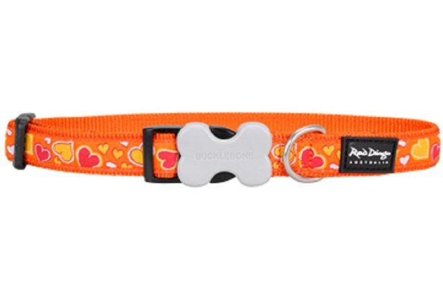 Picture of Red Dingo DC-BZ-OR-ME Dog Collar Design Breezy Love Orange&#44; Medium