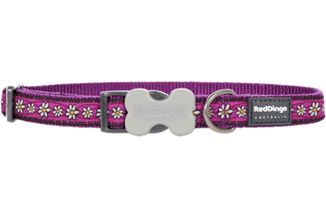Picture of Red Dingo DC-DC-PU-LG Dog Collar Design Daisy Chain Purple- Large