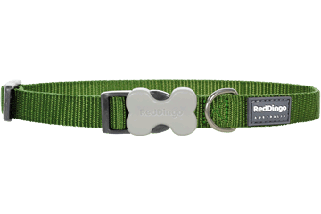 Picture of Red Dingo DC-ZZ-GR-SM Dog Collar Classic Green&#44; Small