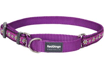 Picture of Red Dingo MC-DC-PU-SM Martingale Dog Collar Design Daisy Chain Purple- Small