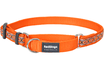 Picture of Red Dingo MC-SE-OR-12 Martingale Dog Collar Design Snake Eyes Orange- Extra Small