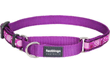 Picture of Red Dingo MC-BZ-PU-SM Martingale Dog Collar Design Breezy Love Purple- Small