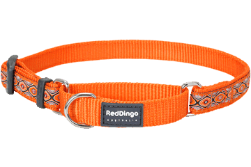 RED DINGO