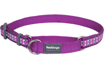 Picture of Red Dingo MC-RB-PU-LG Martingale Dog Collar Reflective Purple- Large
