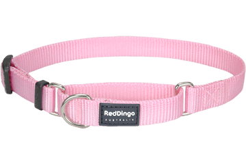 Picture of Red Dingo MC-ZZ-PK-SM Martingale Dog Collar Classic Pink- Small