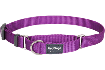 Picture of Red Dingo MC-ZZ-PU-12 Martingale Dog Collar Classic Purple- Extra Small