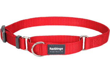 Picture of Red Dingo MC-ZZ-RE-20 Martingale Dog Collar Classic Red- Medium