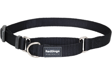 Picture of Red Dingo MC-ZZ-BB-ME Martingale Dog Collar Classic Black- Medium