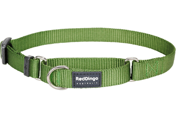 Picture of Red Dingo MC-ZZ-GR-20 Martingale Dog Collar Classic Green- Medium