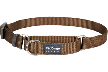Picture of Red Dingo MC-ZZ-BR-20 Martingale Dog Collar Classic Brown- Medium