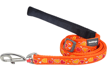 Picture of Red Dingo L6-BZ-OR-SM Dog Lead Design Breezy Love Orange- Small