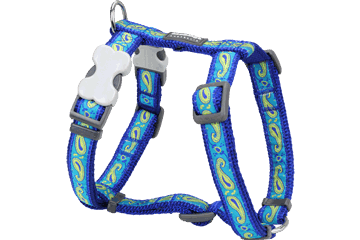 Picture of Red Dingo DH-P2-DB-SM Dog Harness Design Green & Blue Paisley- Small