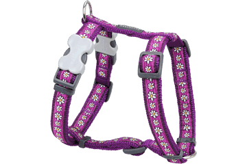 Picture of Red Dingo DH-DC-PU-ME Dog Harness Design Daisy Chain Purple- Medium