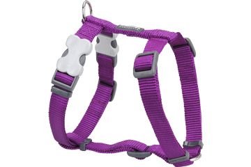 Picture of Red Dingo DH-ZZ-PU-SM Dog Harness Classic Purple- Small