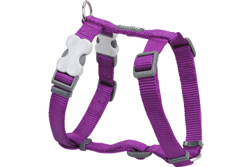 Picture of Red Dingo DH-ZZ-PU-XL Dog Harness Classic Purple- XLarge