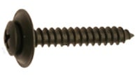 AUV-AP11791 Phil Oval Head Sem Tapping Screw, 10 X 0.75 In.