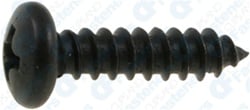 AUV-AP11922 Pak Phillips Pan Head Tapping Screw, 10 X 0.75 In.