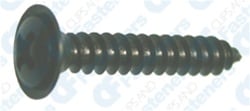 AUV-AP12957 Pak, Phillips Oval Head Sems Tapping Screw, 8 X 1 In.