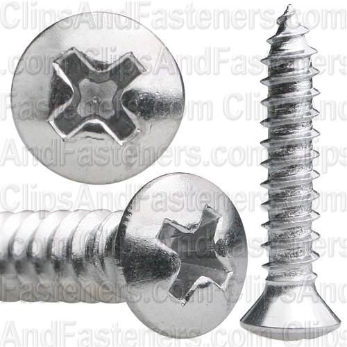 AUV-AP2730 Pak Phillips Oval Head Tapping Screw, 10 X 1 In.