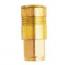 MiltonMIS-1803- 0.25 in. Female Body-Skin Packaged Coupler